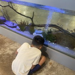 Centrl Sply - Aquarium inside
