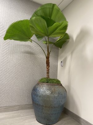 Bank of Hawaii Waikiki Center by null