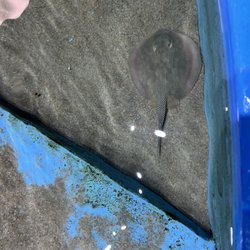 Seaport Aquarium