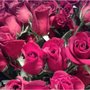 Photo of Country Flowers & Herbs