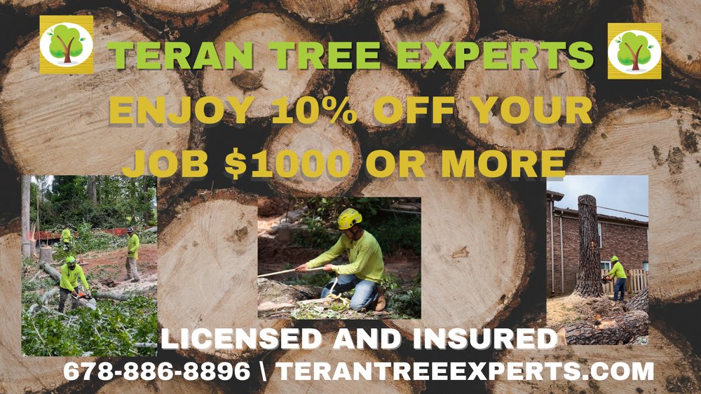 Teran Tree Experts - tree service in Atlanta, GA