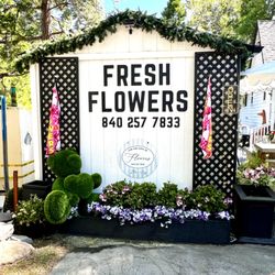 Jeannine Home Furnishings