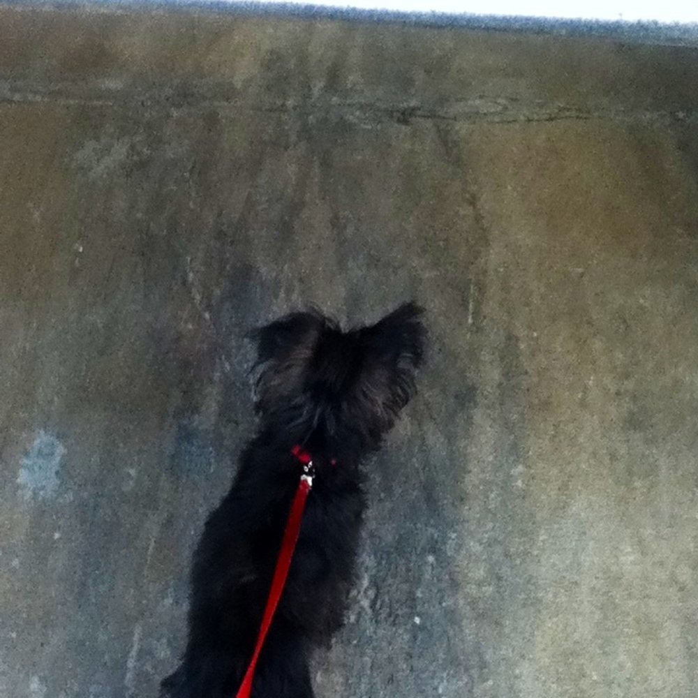 George spying on the warehouse workers through the part opened garage door George spying on the warehouse workers through the part opened garage door