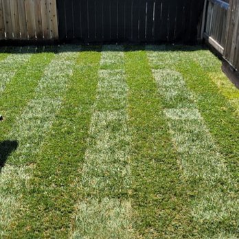 Deo Gloria Lawn Care - Finished area - Lawn Services Near Me Deo Gloria Lawn Care - Finished area - Lawn Services Near Me