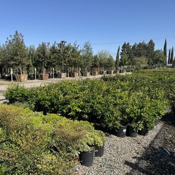 Frantz Garden Center - Nurseries & Gardening Near Me - Hickman, California