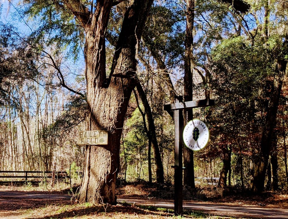 Woodlands Nature Reserve