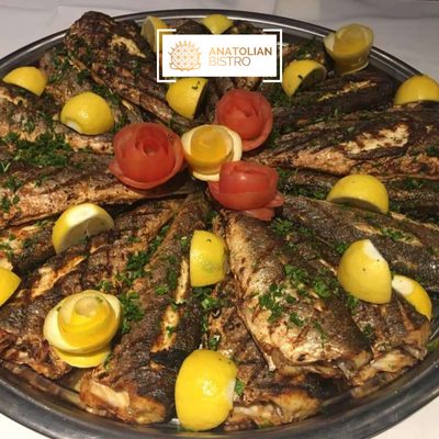 Anatolian Bistro by null