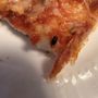 Holly Hill Pizza House