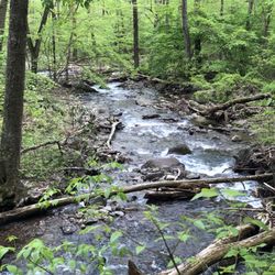 Mount Tammany