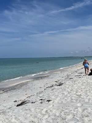 Gasparilla Island State Park by null