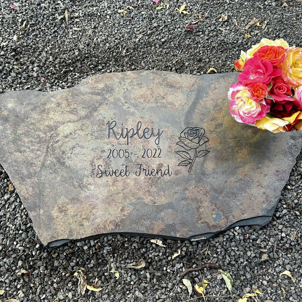 Stone Impressions - Engraving Near Me Stone Impressions - Engraving Near Me