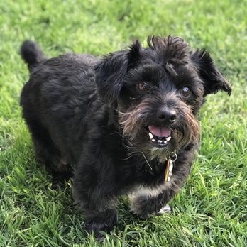Pets Vet - Veterinarians Near Me - Hemet, California