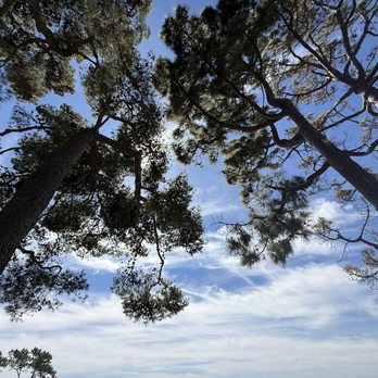 Pines Park - Parks Near Me - Dana Point, California