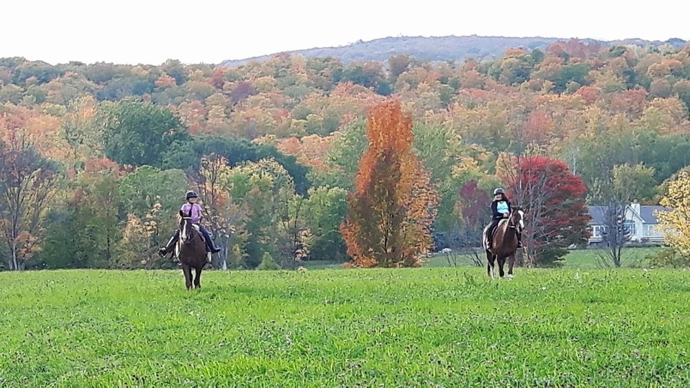 HEARTFELT EQUESTRIAN Updated September 2024 712125 Southgate Twp 71, Dundalk, Ontario