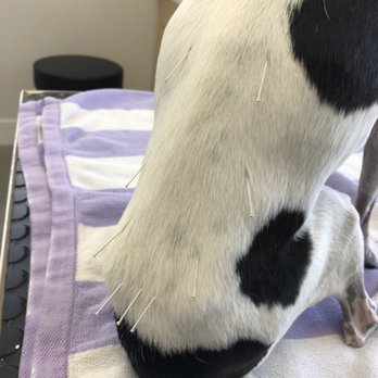 West Delray Veterinary - Veterinarians Near Me - Delray Beach, Florida