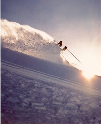 The Alf Engen Ski Museum by null