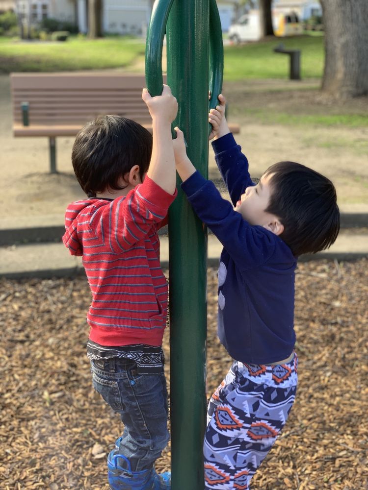 Little Star Bilingual Learning Center - childcare center in Cupertino, CA