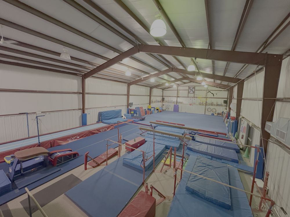 Joel Baba's School of Gymnastics Logo