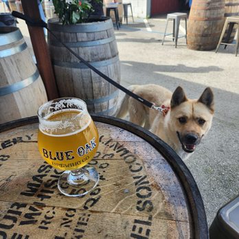 Blue Oak Brewing Company - Eye spy on some tasty suds - Breweries Near Me - San Carlos, California Blue Oak Brewing Company - Eye spy on some tasty suds - Breweries Near Me - San Carlos, California
