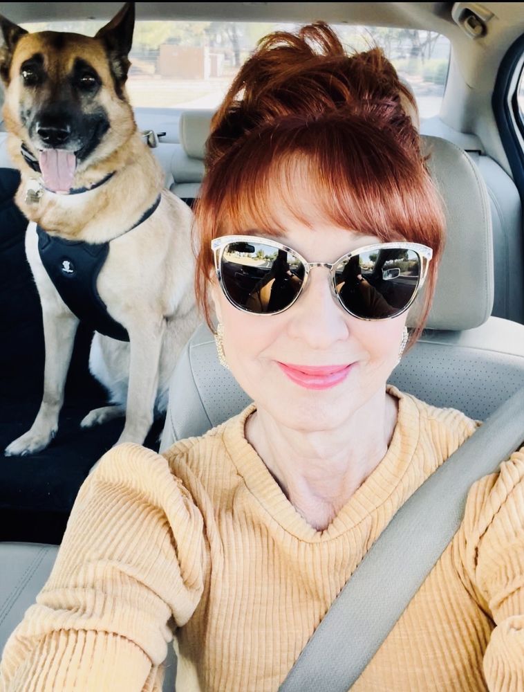 ALLSTAR ANIMAL HOSPITAL Updated September 2024 59 Reviews 16772 W Bell Rd, Surprise