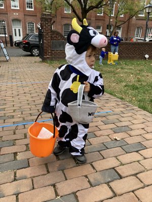 Carlyle House Historic Park by null