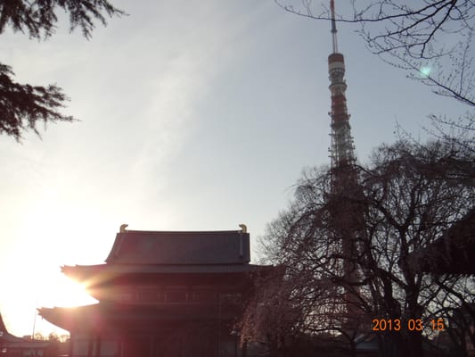 Zojo-ji Temple by null