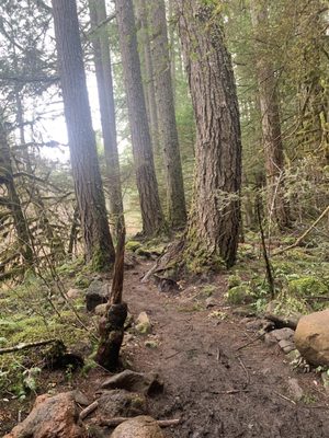 Tamolitch Falls (Blue Pool) by null