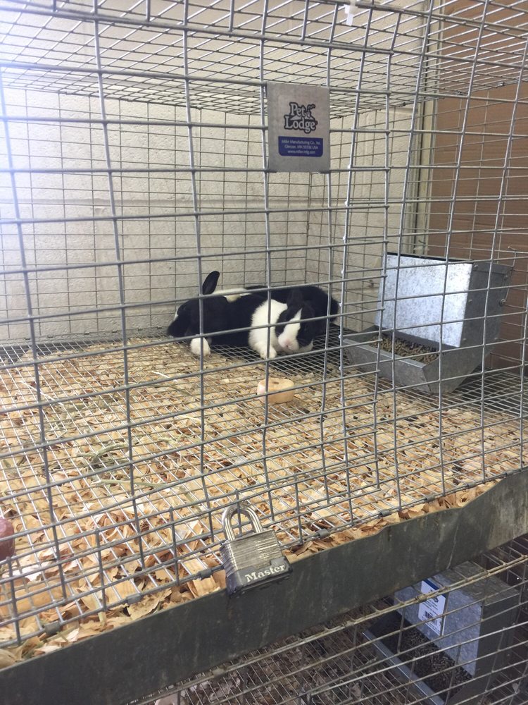 RURAL KING Hardware Stores 1807 N Broadway St, Greensburg, IN