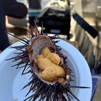 Captain Jack's - Fresh Uni - Caterers Near Me