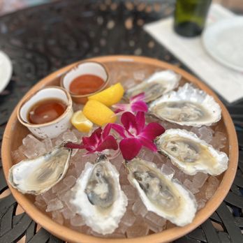 Serena - Oysters - Mexican Near Me - Miami Beach, Florida Serena - Oysters - Mexican Near Me - Miami Beach, Florida