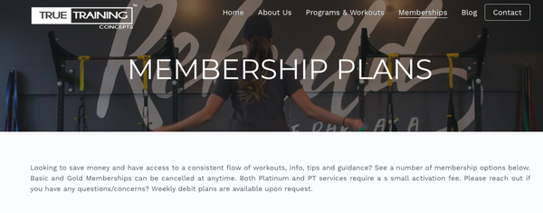 TRUE TRAINING CONCEPTS - Request Consultation - Brooklyn, NY - Yelp