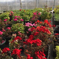 Garden Shoppe