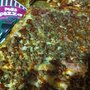 Photo of Más Pizza
