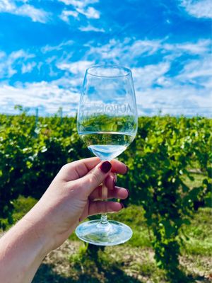 Aurora Cellars by null