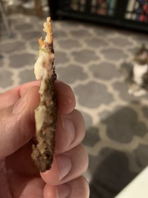 Bites in the Boro by null