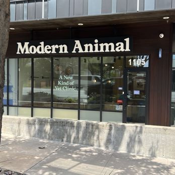 Modern Animal South Lamar - Veterinarians Near Me - Austin, Texas Modern Animal South Lamar - Veterinarians Near Me - Austin, Texas