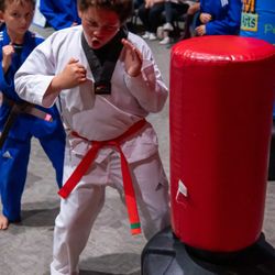 STEM Martial Arts