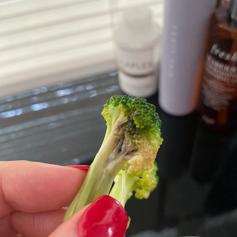 Moldy broccoli