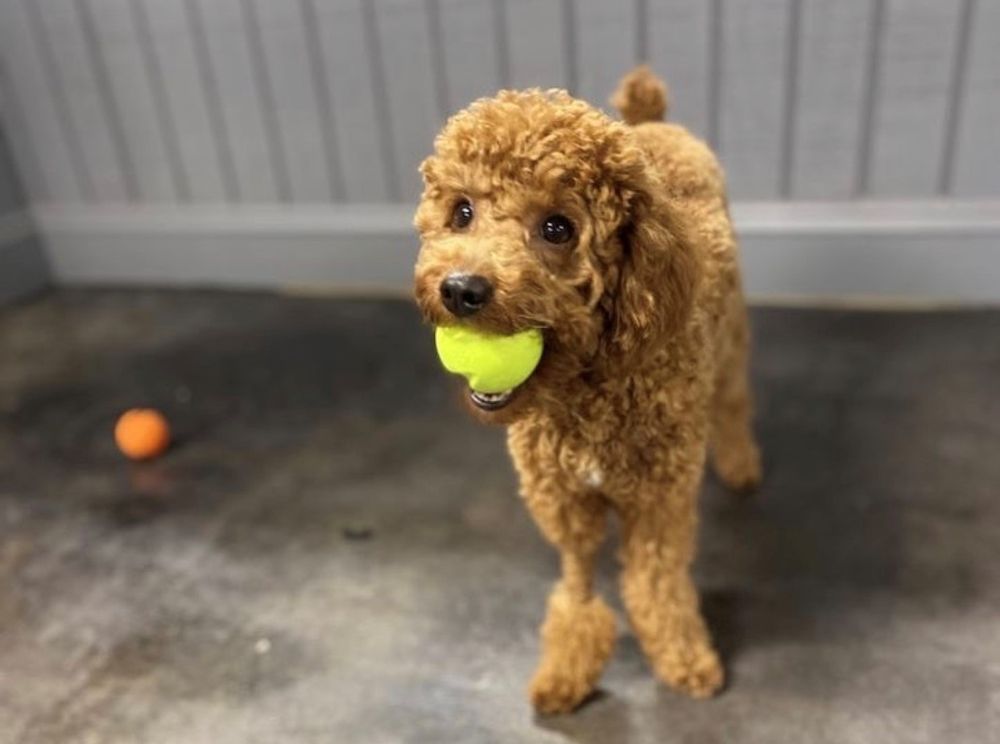 CLUB DIOGI Updated May 2024 34 Photos & 19 Reviews 2080 Cheshire Bridge Rd NE, Atlanta