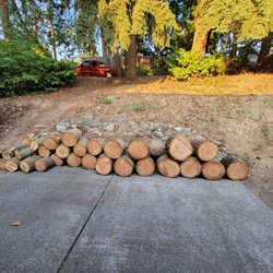 Nash Tree Removal - Nicely stacked wood ready and cleaned up area
