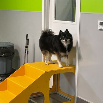 PetSuites Herriman - Pet Training Near Me - Herriman, Utah PetSuites Herriman - Pet Training Near Me - Herriman, Utah