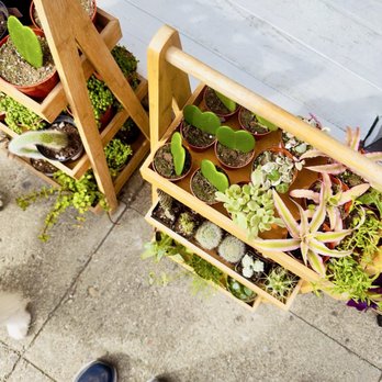 Moss & Spade - Nurseries & Gardening Near Me - Oakland, California Moss & Spade - Nurseries & Gardening Near Me - Oakland, California