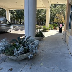 Roper St Francis Mount Pleasant Hospital - All the greenery looks beautiful