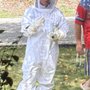 In Control Pest And Termite Services