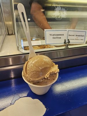 HUMPHRY SLOCOMBE Concord by null