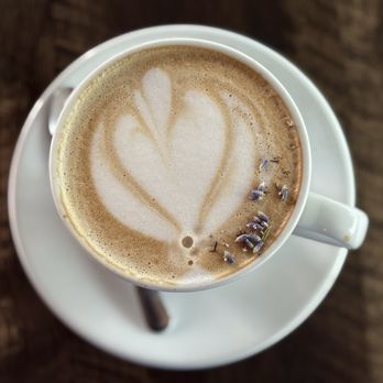 Maggie's Favorite - Lavender latte. So good! - Patisserie/Cake Shop Near Me - Oakland Park, Florida Maggie's Favorite - Lavender latte. So good! - Patisserie/Cake Shop Near Me - Oakland Park, Florida