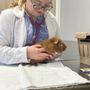Photo of Canobie Lake Veterinary Hospital