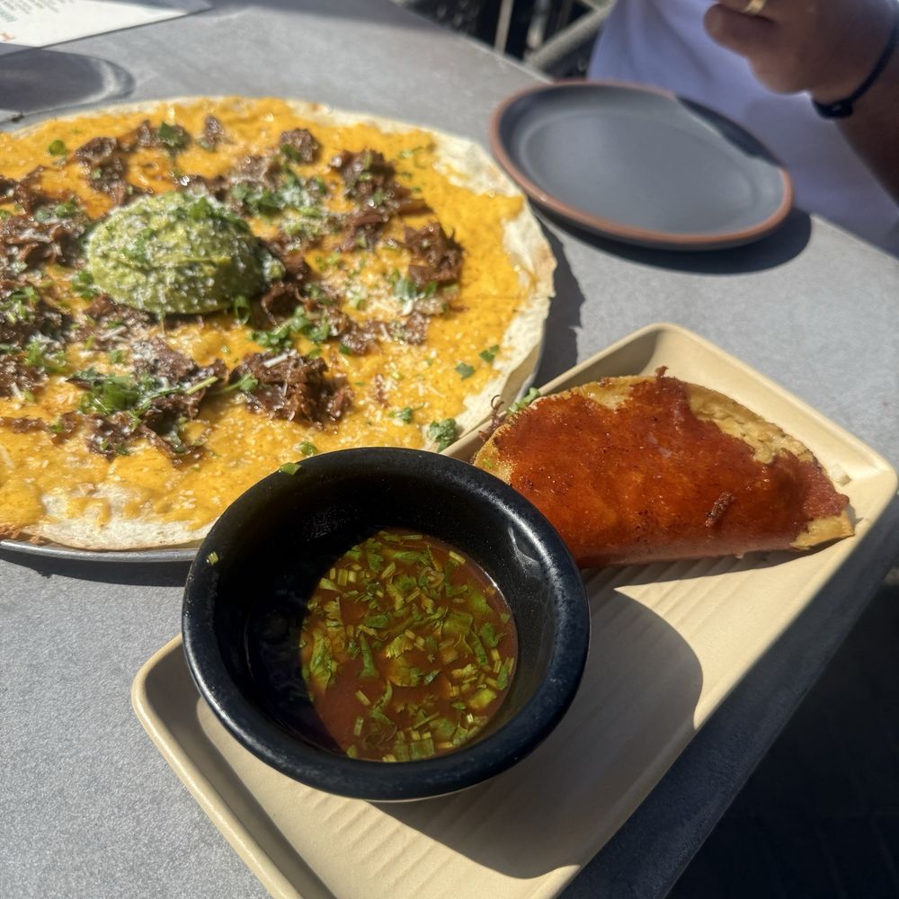 Birria taco