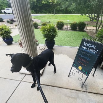 Pampered Pets Inn - First day at Pampered Pets Inn! - Pet Training Near Me - Mooresville, North Carolina