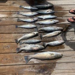 Hatteras Light Tackle Fishing